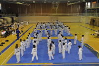 Arrosad&iacute;a vibr&oacute; con el Festival Infantil Solidario / fotos / video